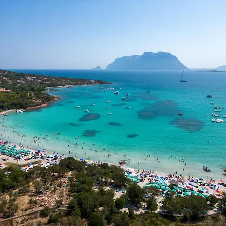 Appartamento Lidia Capo Ceraso By Interhome